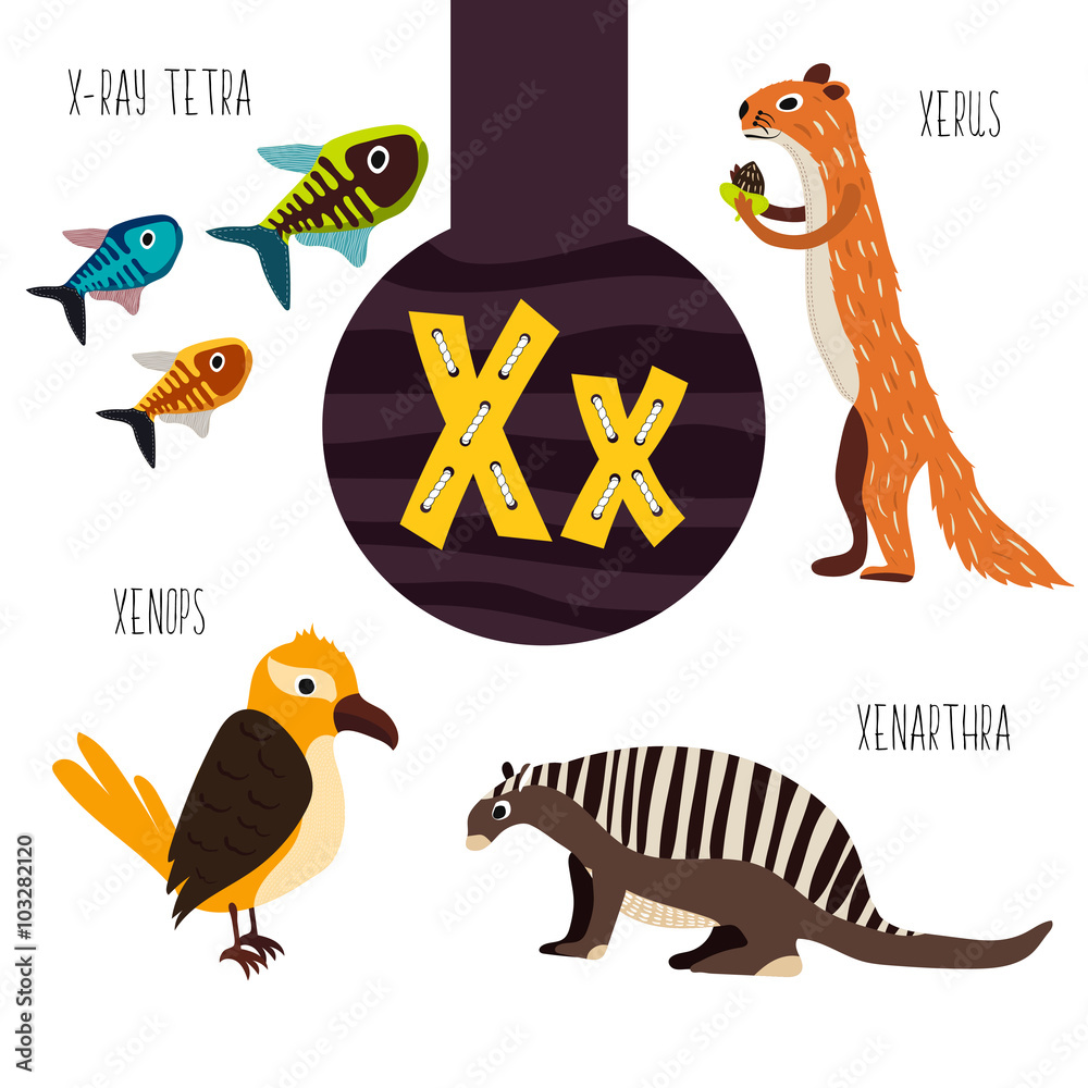 Fun animal letters of the alphabet for the development and learning of  preschool children. Set of cute forest, domestic and marine animals with  the letter x. Vector Stock Vector | Adobe Stock