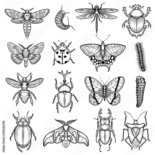  Insects Black White Line Icons Set 