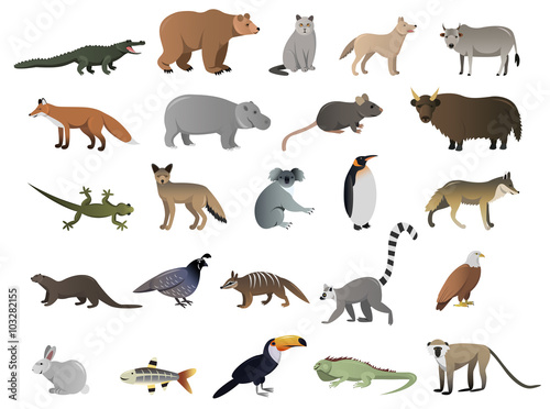 Vector image of wild animals