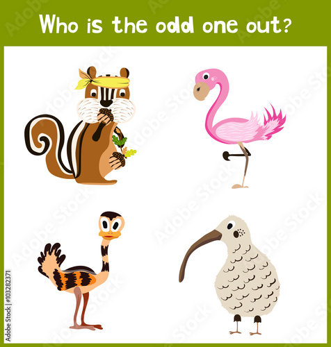 Children colorful educational cartoon game puzzle page for children s books and magazines on the theme get extra animal lovely birds among tropical forests. Vector