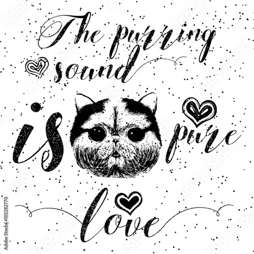 The purring sound is pure love, greeting card and motivational quote for pet lovers with typographic design. Cute friendly smiling cat face with hearts and sparkle. Hand lettered message, calligraphy.
