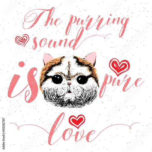 The purring sound is pure love, greeting card and motivational quote for pet lovers with typographic design. Cute friendly smiling cat face with hearts and sparkle. Hand lettered message, calligraphy.