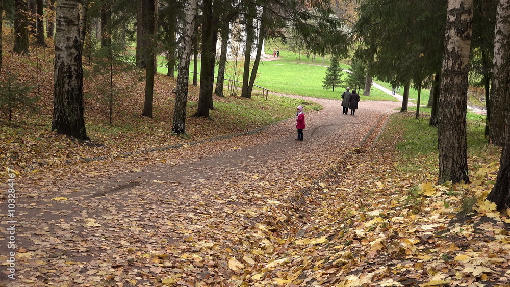 Pavlovsk city, RUSSIA-October 11, 2014, Child running down the avenue in the park on yellow leaves Pavlovsk city, RUSSIA-October 11, 2014, Child running down the avenue in the park on yellow leaves