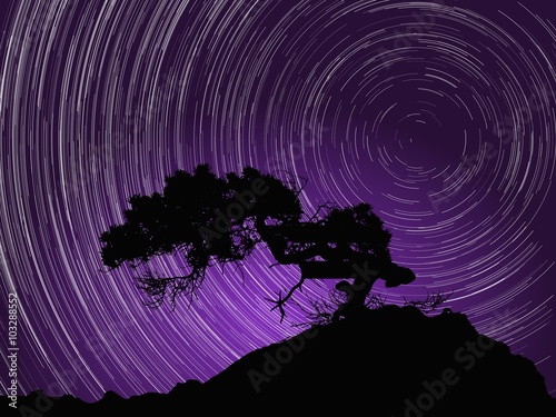 Silhouette of tree against night sky with aurora and startrails around Polaris star. Vector Illustration.