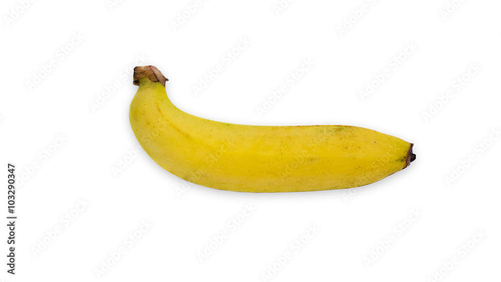 Single Cultivated banana on white background
