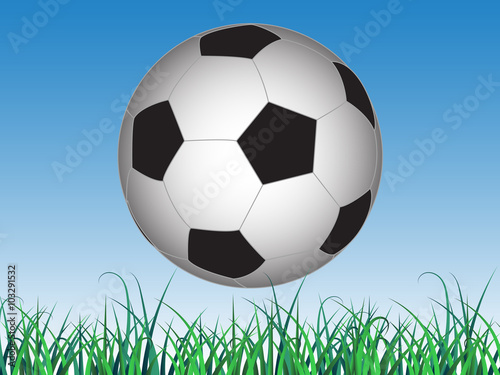 vector illustration banner to world football day with the ball hanging over the green grass