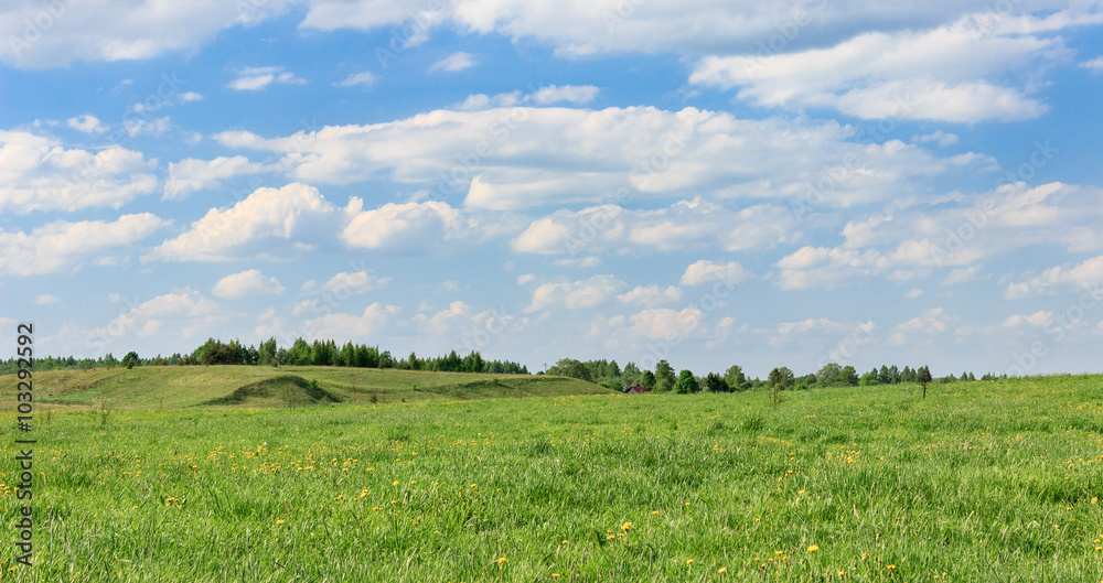 Field and sky