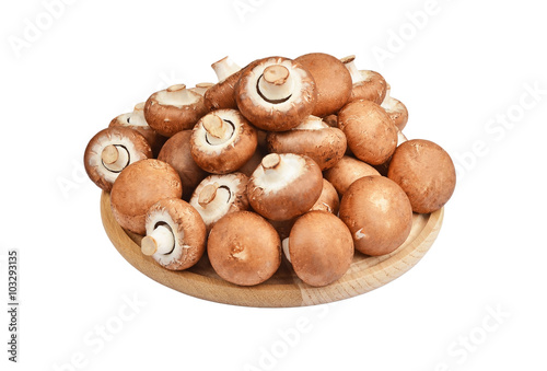 Champignon (True mushroom) on wooden board
