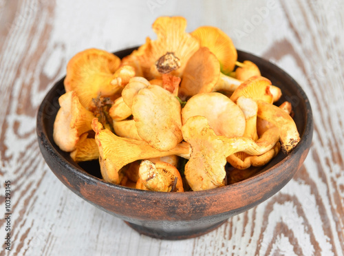 Chanterelle mushroom on bowl