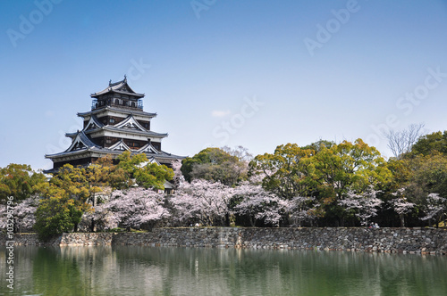 Hiroshima castle in spring