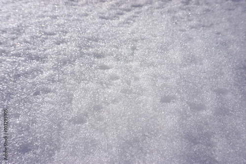 texture of white snow spark...