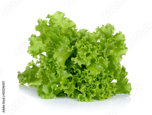 Fresh green lettuce in the basket isolated on a white background