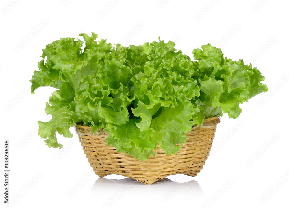 Fresh green lettuce in the basket isolated on a white background Fresh green lettuce in the basket isolated on a white background