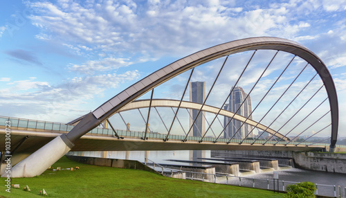 Tableau sur toile Modern architecture design of a bridge and buildings in Putrajaya, Malaysia