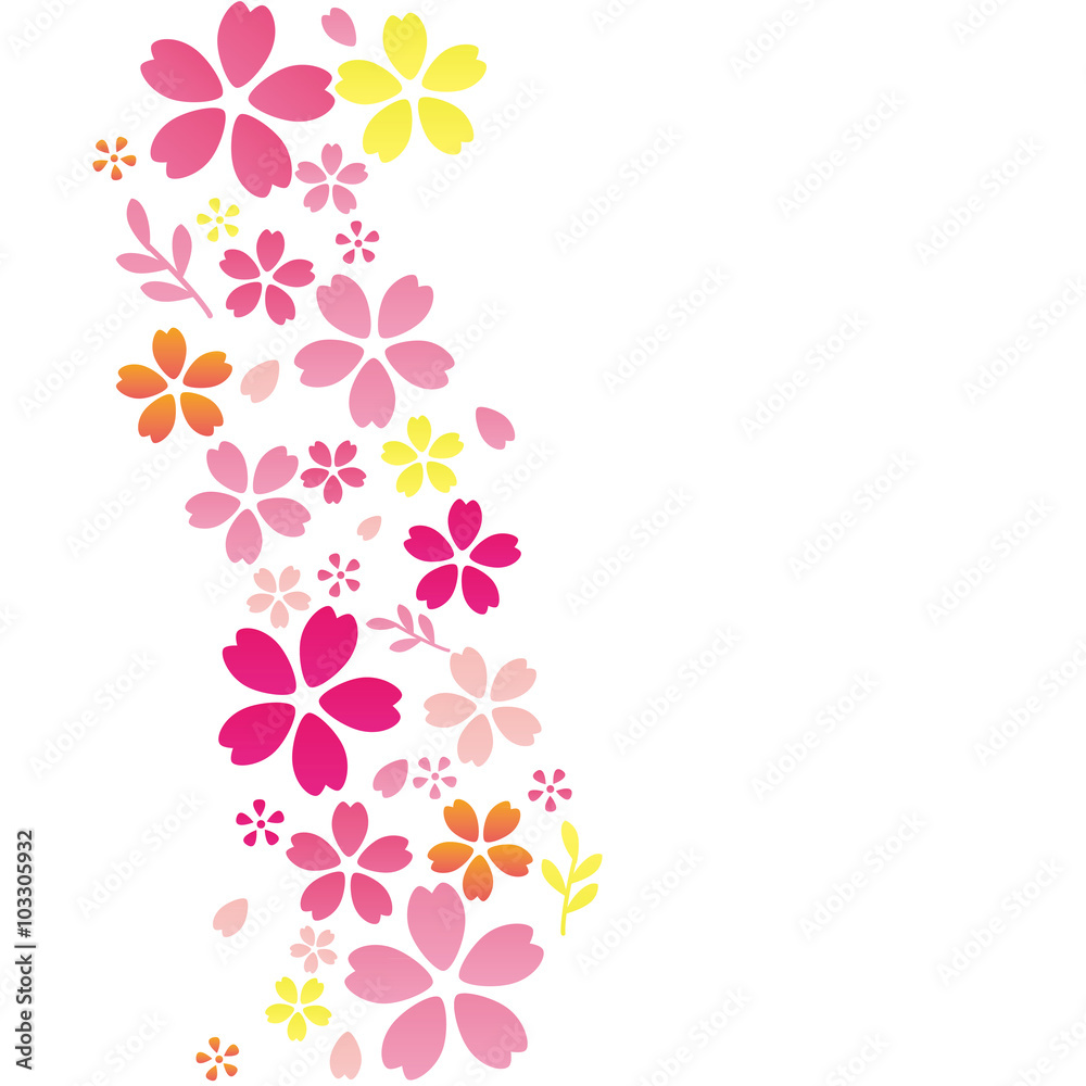 Flower background, cherry blossom or sakura