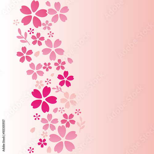 Flower background, cherry blossom or sakura