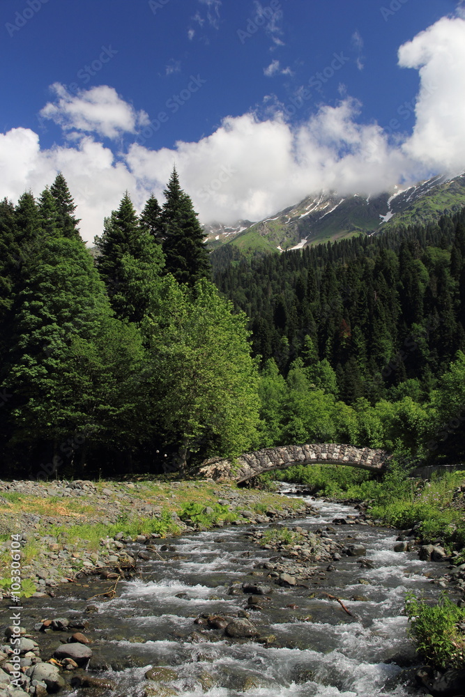 Obraz premium Lake Rizza, year 2015