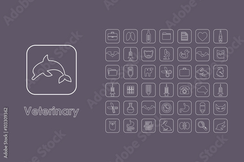 Set of veterinary simple icons