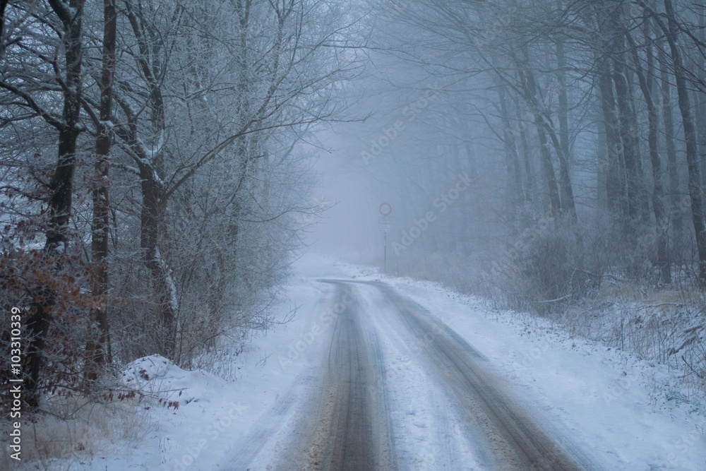 Obraz premium schnee im wald