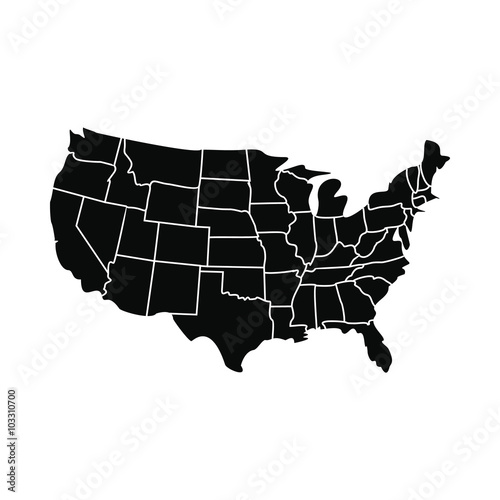 USA map with states icon