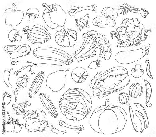 Doodle vector set of vegetables