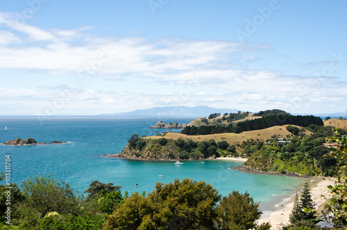 View towards Auckland, New Zealand from Waiheke Island © sardinelly