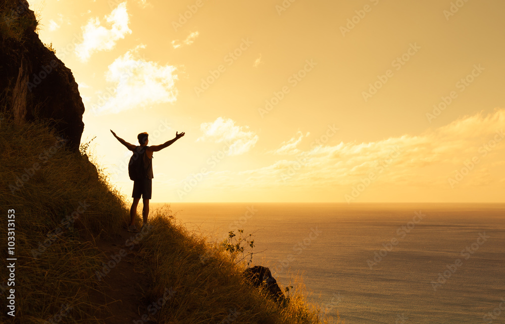 Ταπετσαρία Happy man on top a mountain reaching his army out toward the horizon