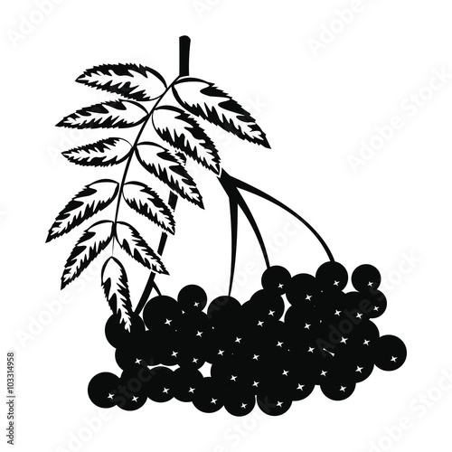 Branch of rowan icon