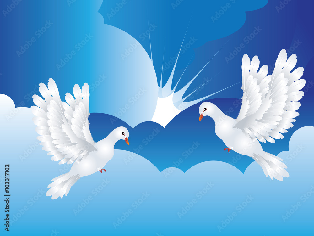 Obraz premium Dove in the Sky