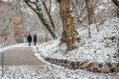 Canvas Print couple in love walking in the snow