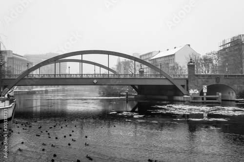 river, bridge, ice and birds in the city