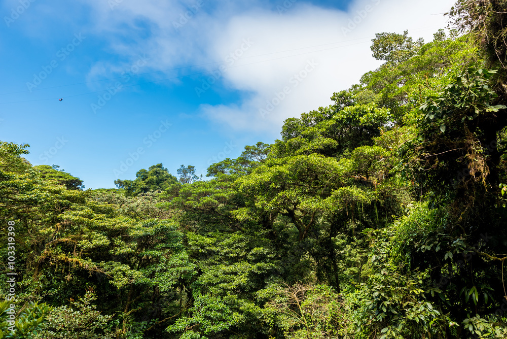 Cloudforest - Costa Rica