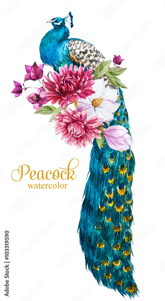 Naklejka premium Watercolor peacock with flowers