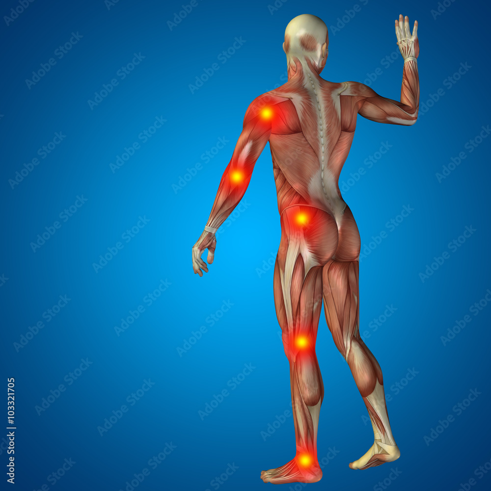 3D human man pain anatomy on blue background 3D human man pain anatomy on blue background