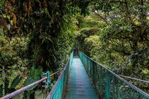 Hanging Bridges in Cloudforest - Monteverde, Costa Rica