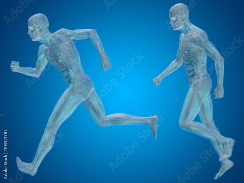 Conceptual man or human 3D anatomy or body on blue © high_resolution