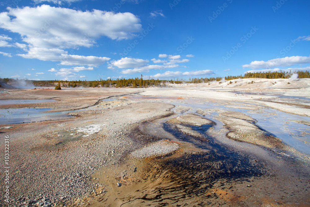 Norris Geyser Basin,Yellowstone National Park, Wyoming, USA Norris Geyser Basin,Yellowstone National Park, Wyoming, USA