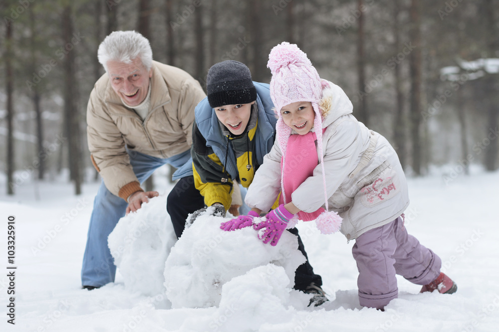 happy  family playing in fresh snow