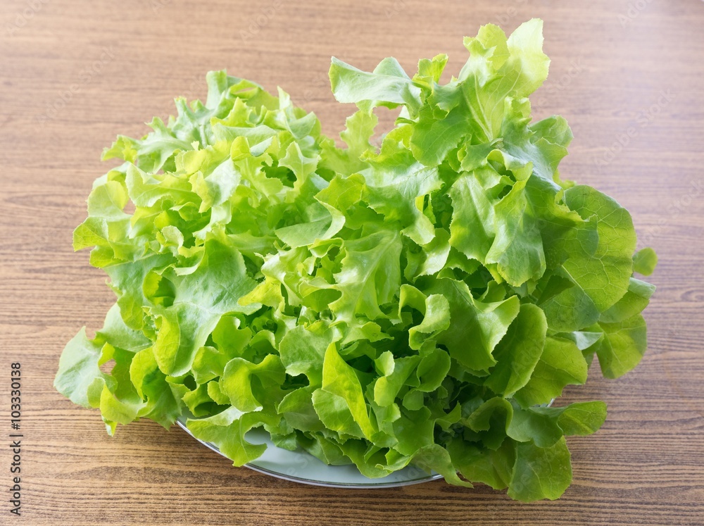 Fresh Green Lettuce Leaves in A Plate Fresh Green Lettuce Leaves in A Plate