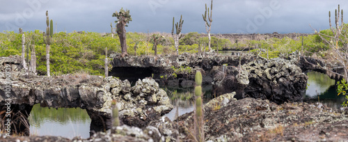 Fotografi Lava tunnels in Isabela Island, Galapagos