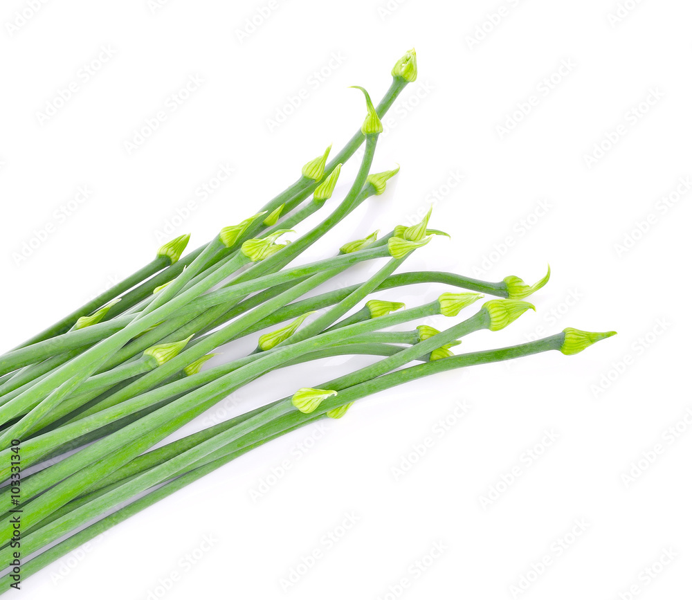 Onion flower isolated on white background Onion flower isolated on white background