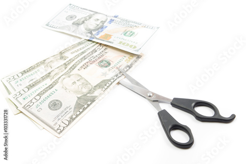 Money cutting dollar bills