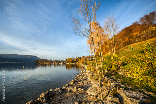 Austrian Lake