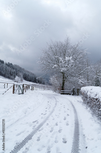 Winter im Oberbergischen Land, Deutschland photo