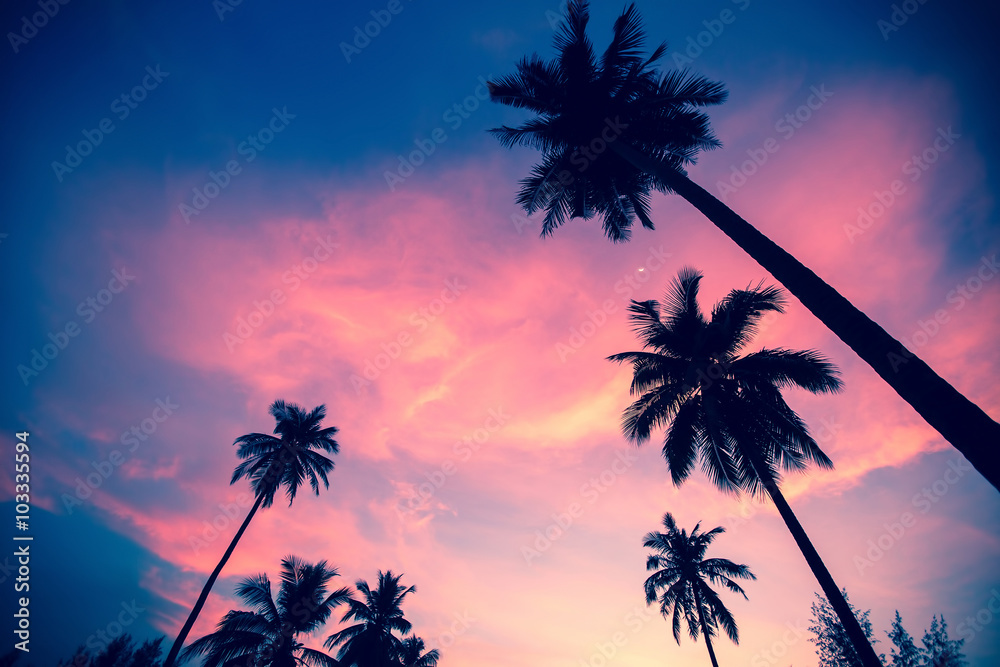Palm trees silhouettes on the sunset sky background.