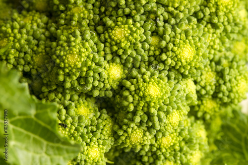 Cime di Rapa broccolo photo