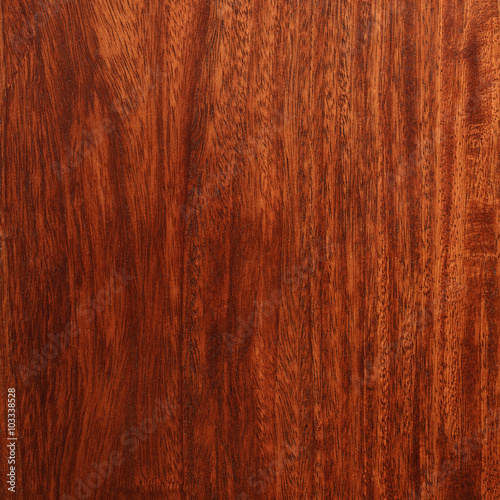 Natural Wood Series / 
High resolution image of textured natural wood shot in studio.