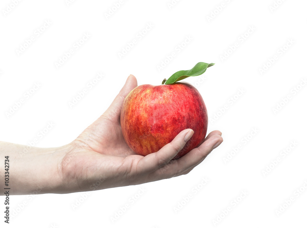 hand holding a red apple hand holding a red apple