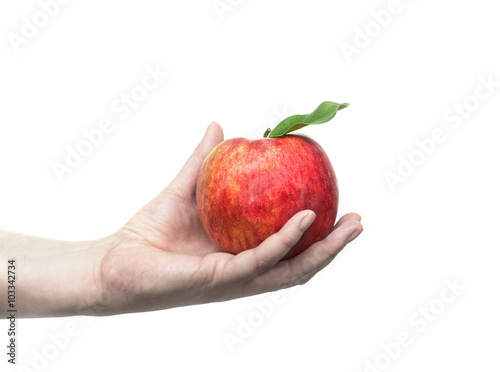 hand holding a red apple