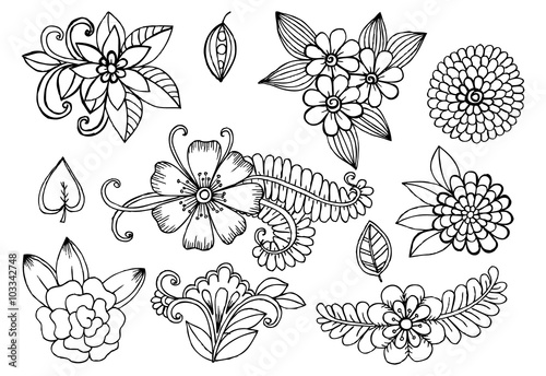 Set of doodle floral design elements in black and white
